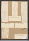 Scoliopleura tumida (Breb.) Rabh. (de-Toni-Nr.: Genus 14, Species 1108) Zeichnungen Sammlung Grunow Nr. 2192 (NHMW-BOT-W0369265)